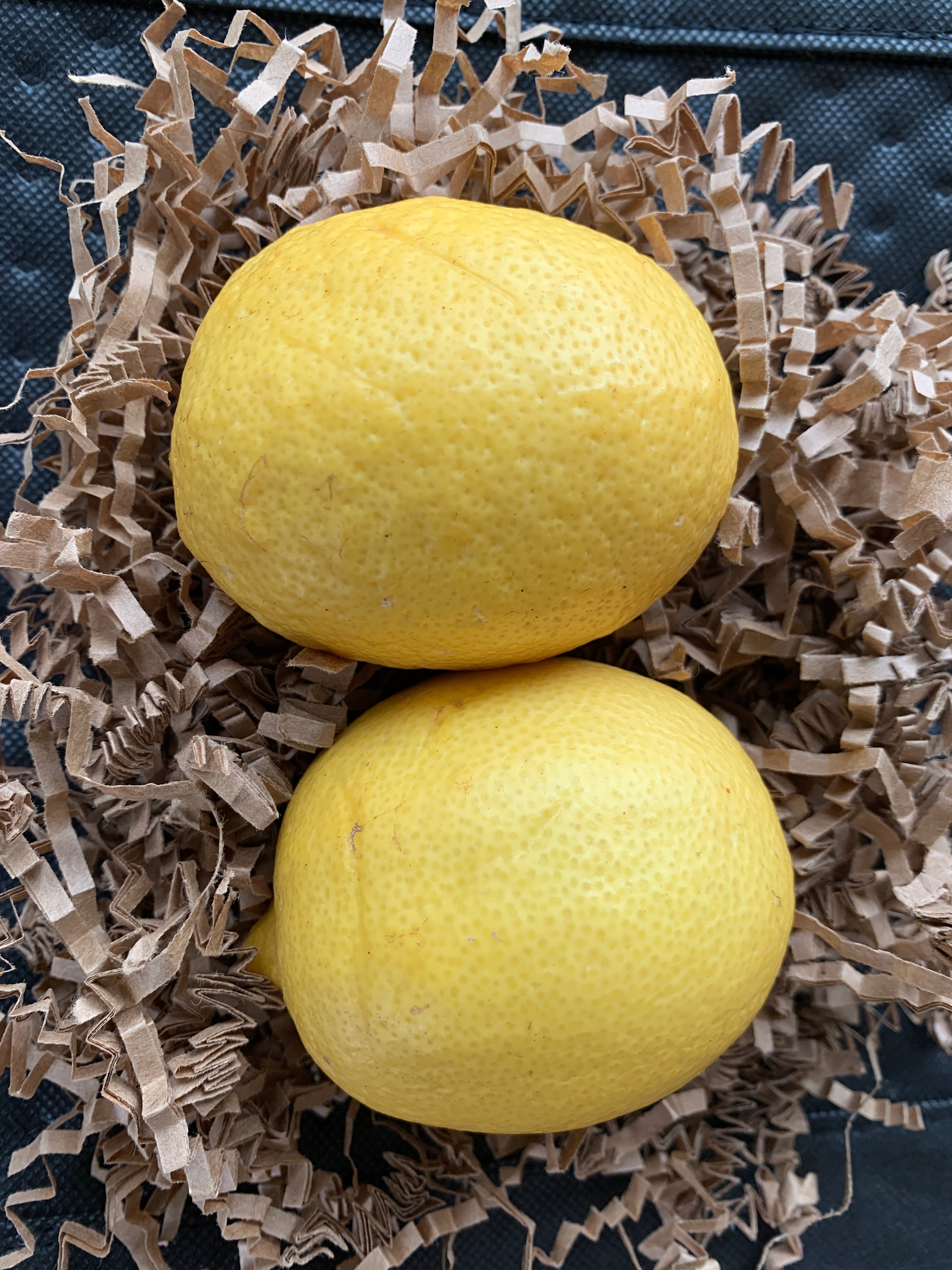 2 lemons local pickup